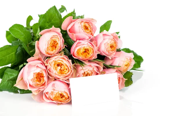 Roses on white background — Stock Photo, Image