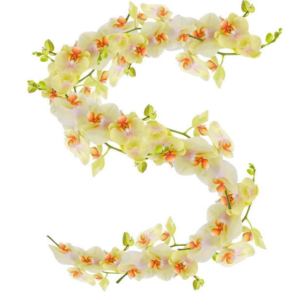 Letter S made of orchids — Stock Photo, Image