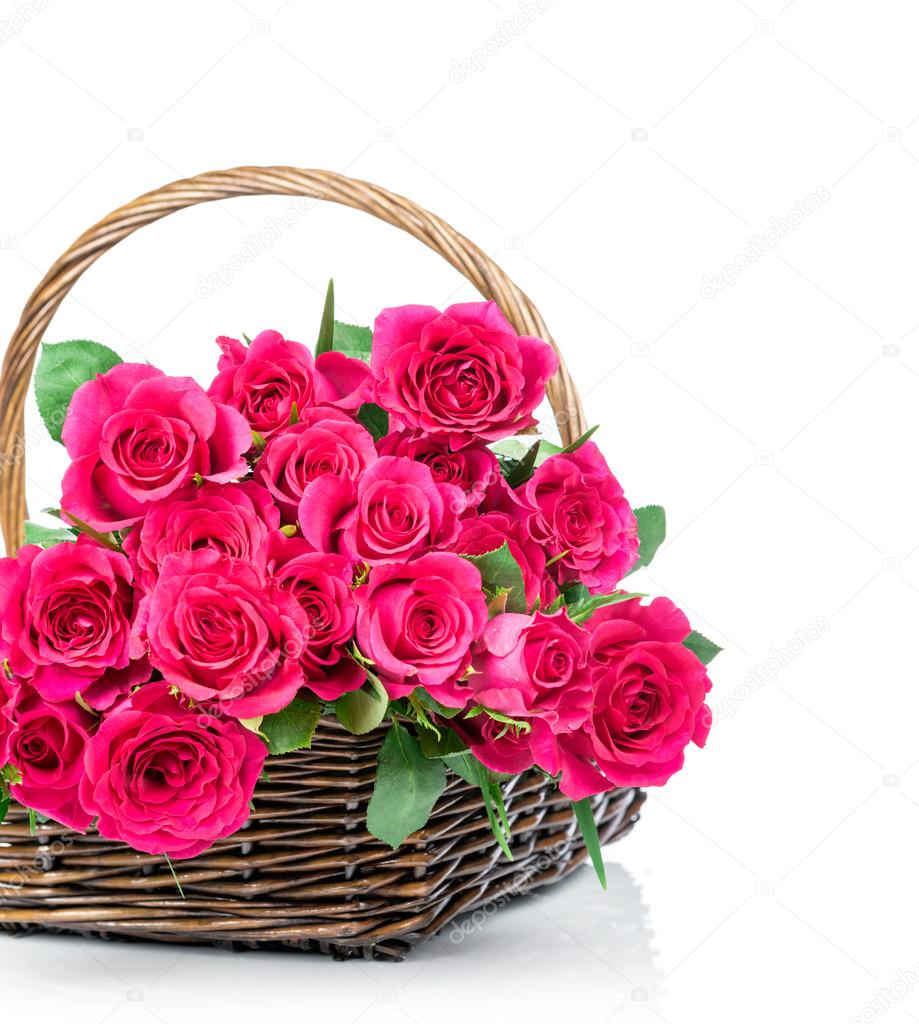 Pink roses in the basket