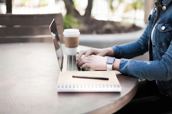 Typing on a laptop Stock Picture