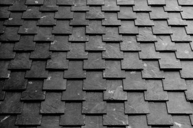 Koyu kare fayanslar. iş geçmişi