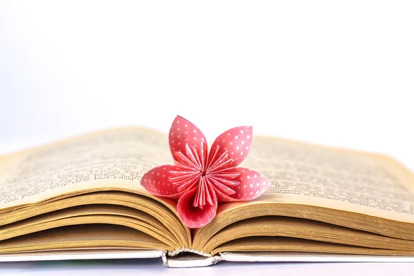 Livro aberto com flor de papel isolado no fundo branco — Fotografia de Stock