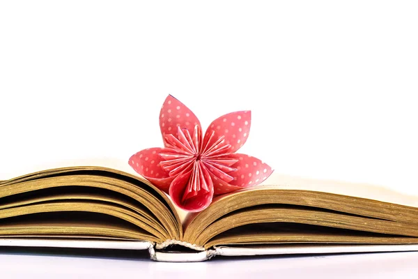 Open book with paper flower isolated on white background — Stock Photo, Image