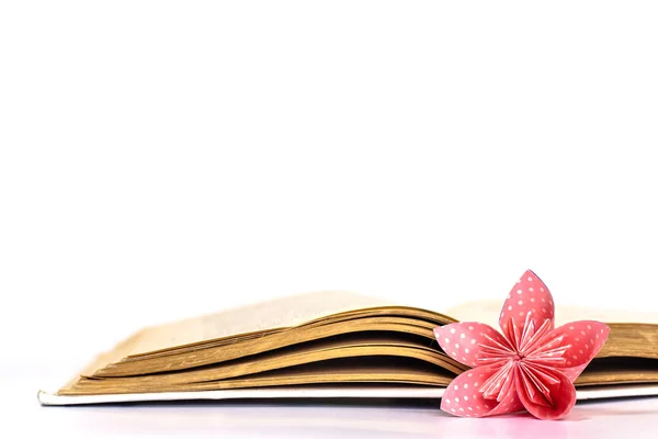 Open book with paper flower isolated on white background — Stock Photo, Image