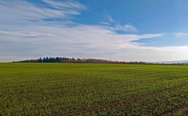 Czech cumhuriyetinin Moravya kırsal kesiminde manzara