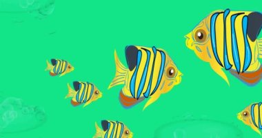 Su altı: Su altı dünyasının mercanlar ve balıklarla döngüsü.