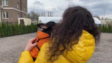 Küçük köpeğini dışarıda tutan genç kadın. Şirin, siyah, bronz bir minyatür kızın yüzünü öpüyor ve yalıyor. Evcil hayvanlarla iletişim kavramları 