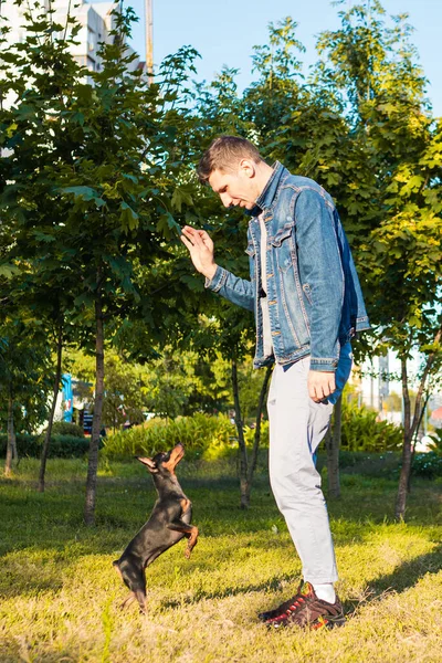 Young Man Playing Training His Little Dog Outdoors Black Tan — Stock Photo, Image