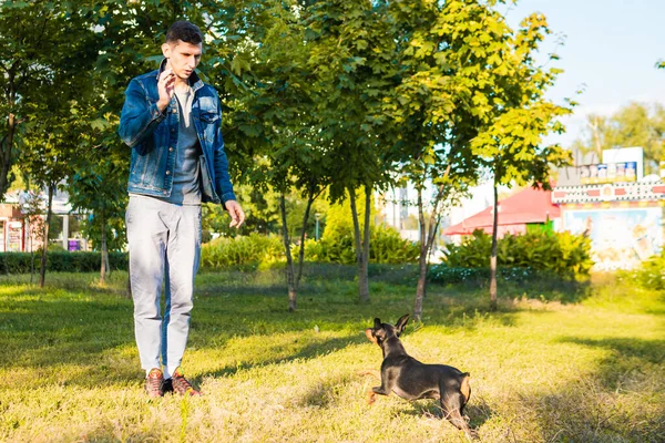 Genç Adam Dışarıda Oynayıp Köpeğini Eğitiyor Siyah Tan Minyatür Parkta — Stok fotoğraf