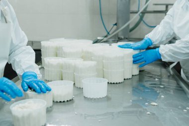 Mozzarella peynir fabrikası. Taze sütle el yapımı mozarella üretiyor, yakın plan. Peynir endüstrisi ve gelenek İtalyan yemeği kavramı