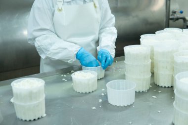 Mozzarella peynir fabrikası. Taze sütle el yapımı mozarella üretiyor, yakın plan. Peynir endüstrisi ve gelenek İtalyan yemeği kavramı