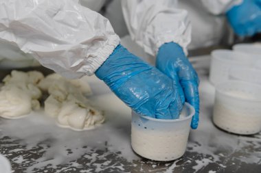 Mozzarella peynir fabrikası. Taze sütle el yapımı mozarella üretiyor, yakın plan. Peynir endüstrisi ve gelenek İtalyan yemeği kavramı