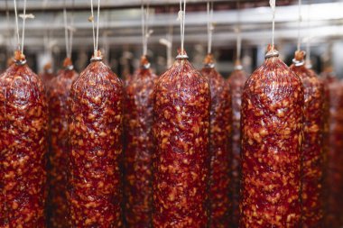 Fabrikada tütsülenmiş sosis üretim hattı. Domuz eti ve salam endüstrisi. Lezzetli yiyecekler ve yiyecekler.