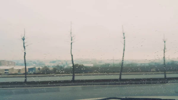 Baumsilhouette Bei Regenwetter Durch Glas Sichtbar — Stockfoto