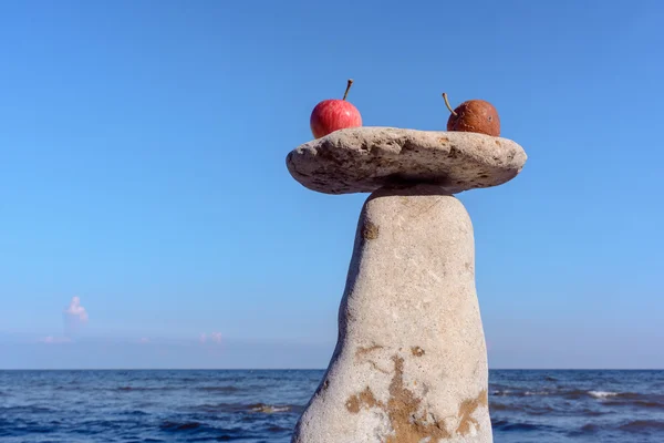 Apples on the stone — Stock Photo, Image