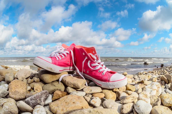 Par de zapatillas — Foto de Stock