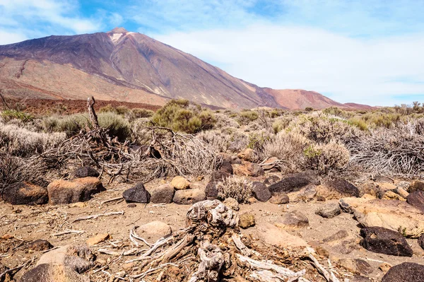 Utsikt över vulkanen Teide — Stockfoto