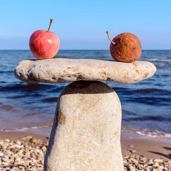 Äpfel auf dem Stein — Stockfoto