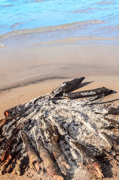 Campfire on beach — Stock Photo, Image