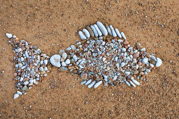 Peixe de pedra de textura — Fotografia de Stock