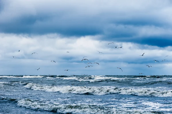 Stormachtige zee — Stockfoto