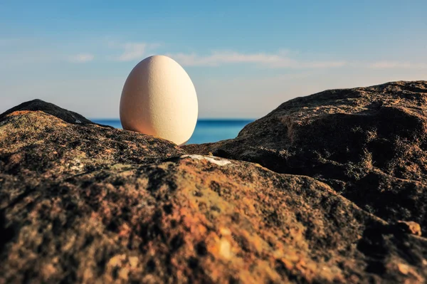 岩の間に卵します。 — ストック写真