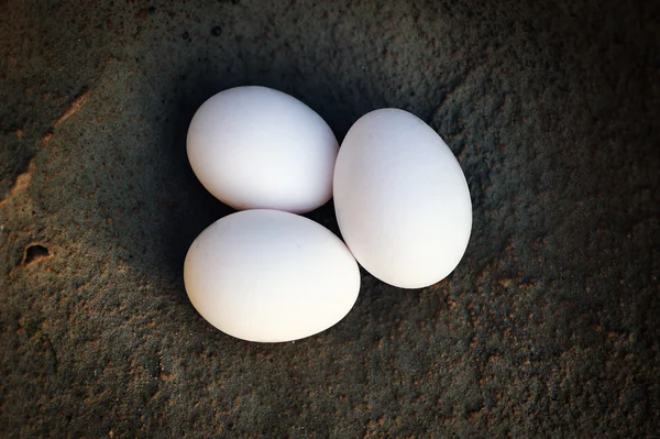 Eggs on the stone — Stock Photo, Image