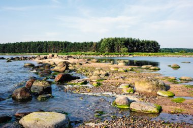 Picturesque landscape