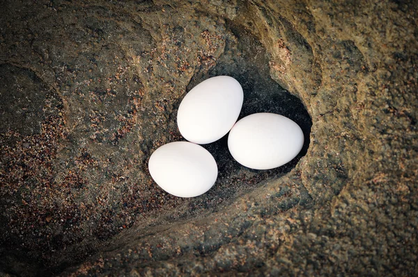 Three hen's eggs — Stock Photo, Image