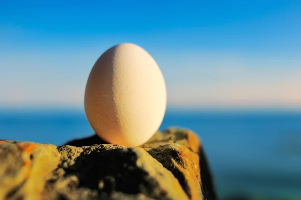 Egg in balance on stone — Stock Photo, Image