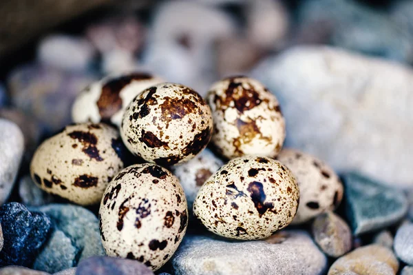 Textured eggs — Stock Photo, Image