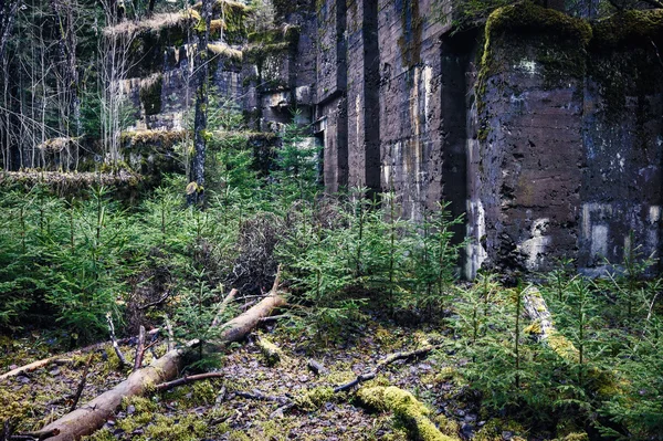 Väggen ruiner — Stockfoto