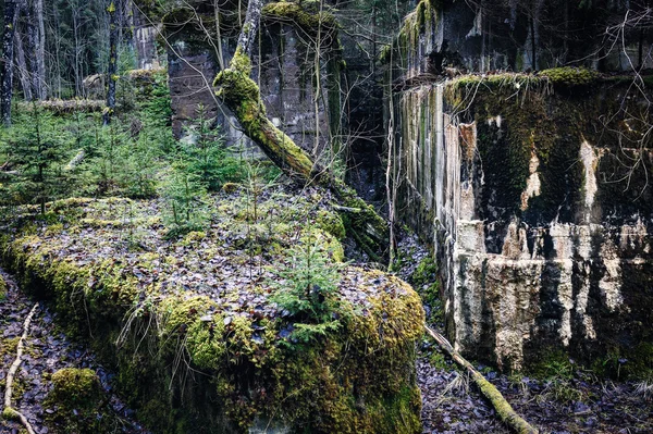 Rovine e muschio — Foto Stock