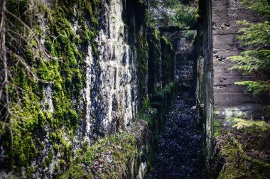 terk edilmiş BUNKERİ