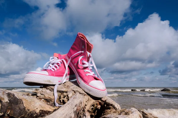 Nuevas zapatillas rosadas — Foto de Stock