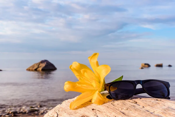 Лили и очки на берегу — стоковое фото