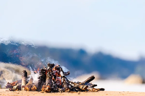 Campfire on coast — Stock Photo, Image
