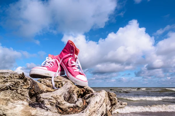 Zapatillas de deporte en la orilla del mar — Foto de Stock