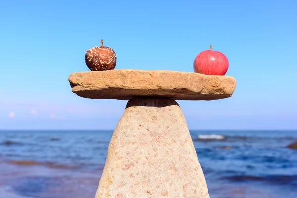 Fresh apple and rotten — Stock Photo, Image