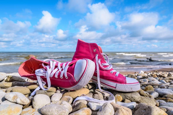 Zapatillas de deporte en la orilla del mar — Foto de Stock