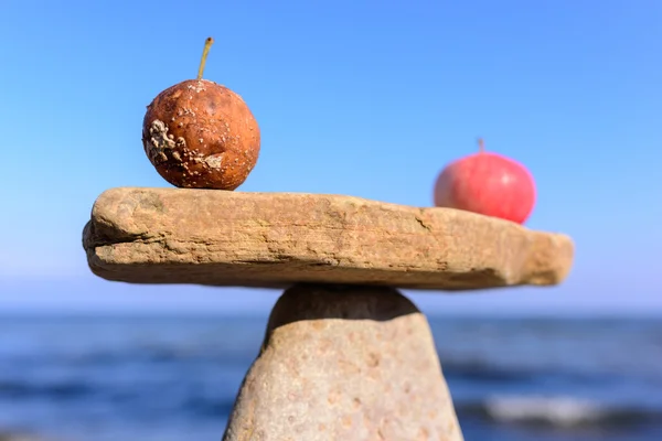 Manzanas podridas frescas —  Fotos de Stock