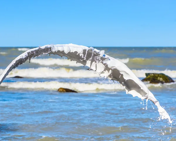 Splash on sea background — Stock Photo, Image