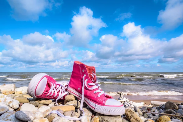 Paar Turnschuhe — Stockfoto