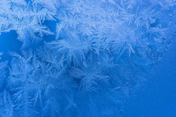 Blue frozen tracery — Stock Photo, Image