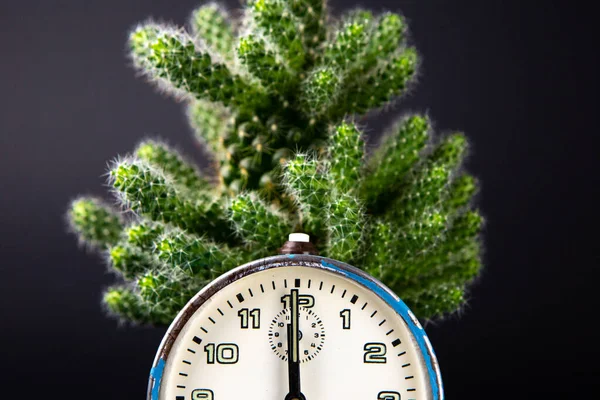 Vieille Horloge Analogique Bleue Qui Montre Exactement Minuit Derrière Elle — Photo