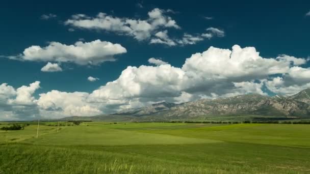 Chmury, góry oraz zielone pola pszenicy w Kazachstanie - 4k Timelapse — Wideo stockowe