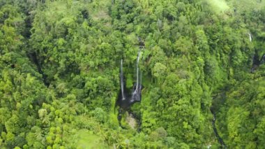 Yağmur ormanlarındaki Sekumpul şelalesi Endonezya 'nın Bali adasındaki bir yağmur ormanının yemyeşil yaprakları arasında bir şelalenin güzelliği. Hava görüntüsü 4K