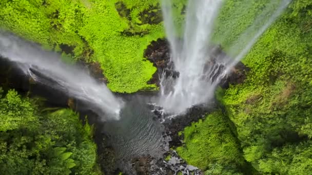 Iguazu şelalesinin Arjantin tarafında orman yağmur ormanları. Hava görüntüsü 4K — Stok video