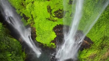 Yağmur ormanlarındaki şelale. Yağmur ormanlarının yemyeşil yaprakları arasında bir şelalenin güzelliği. Hava görüntüsü 4K