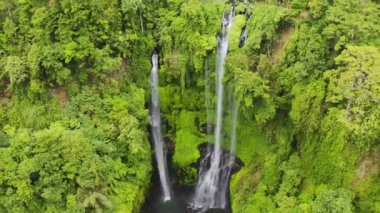 Endonezya, Bali 'de Sekumpul şelalesinde saklı. Hava görüntüsü 4K